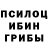 Галлюциногенные грибы мицелий Alex Fedot