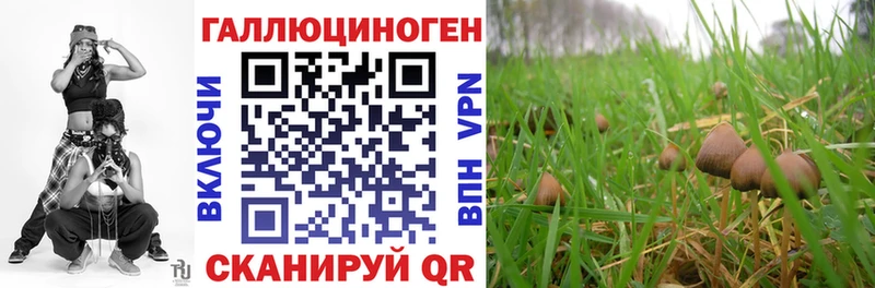 Псилоцибиновые грибы GOLDEN TEACHER что такое Губкин