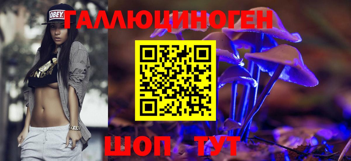 Галлюциногенные грибы Psilocybe Губкин